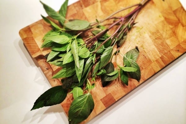 Thaibasilikum-Küchenkräuter