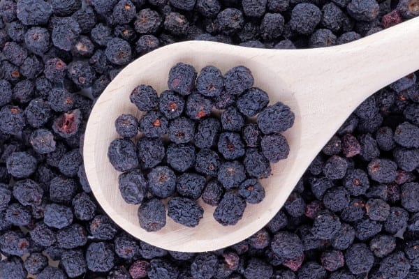 Aronia-Beeren oder Apfelbeeren sind das neue Superfood