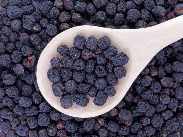 Aronia-Beeren oder Apfelbeeren sind das neue Superfood
