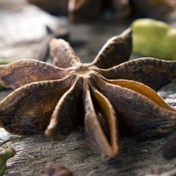 Gin mit würzigen Aromen