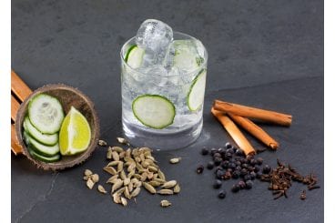 Gin-Tasting Stuttgart