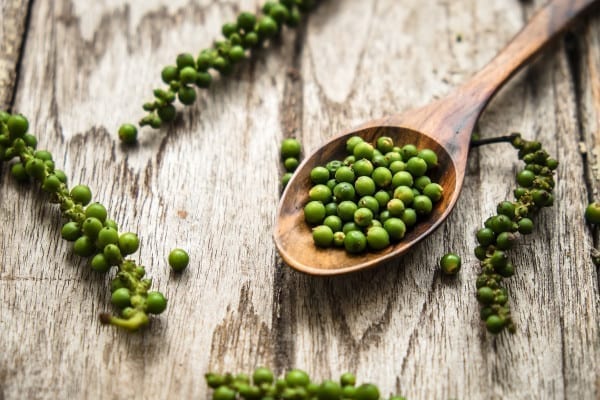 frische grüne Pfefferkörmer - Pfeffersorten Miomente Entdeckermagazin