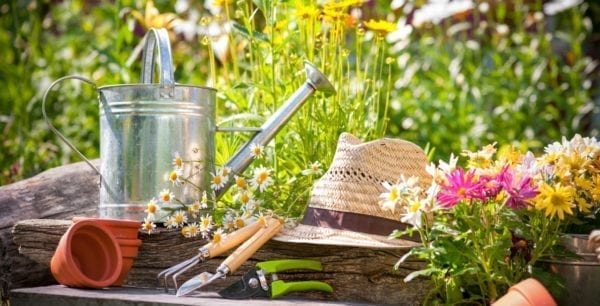 Kräuter selber ziehen - Miomente Entdeckermagazin Kräuterkunde