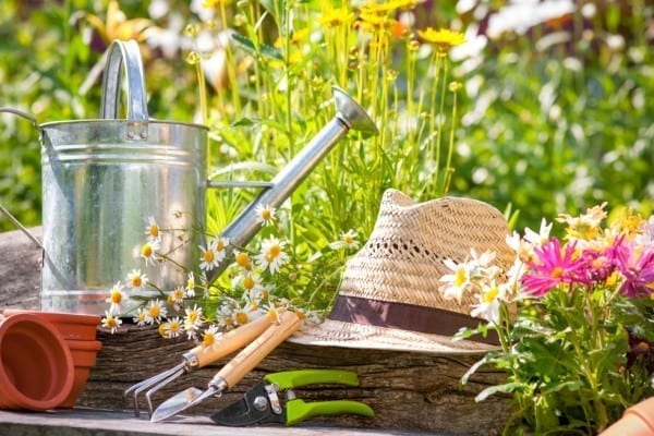 Kräuter selber ziehen - Miomente Entdeckermagazin Kräuterkunde