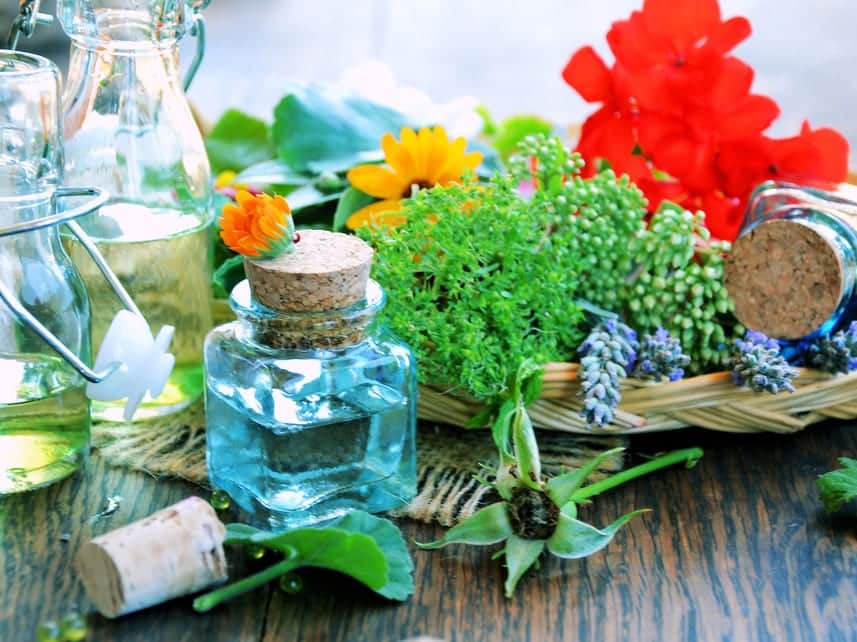 Kräuter-Kochkurs Stuttgart