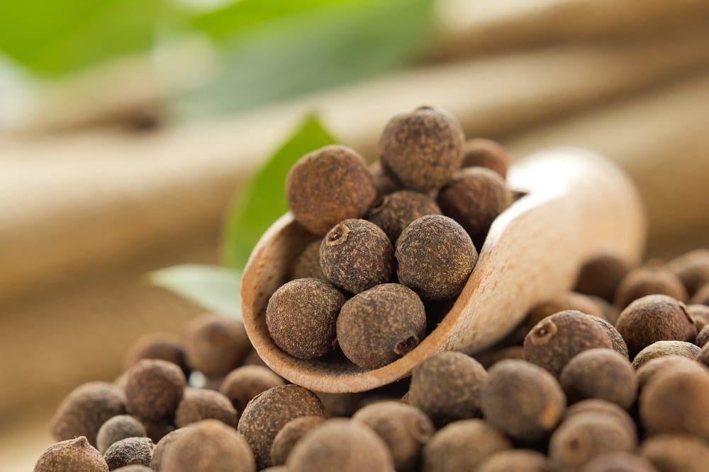 Nelkenpfeffer - Piment - Pfeffersorten Miomente Entdeckermagazin