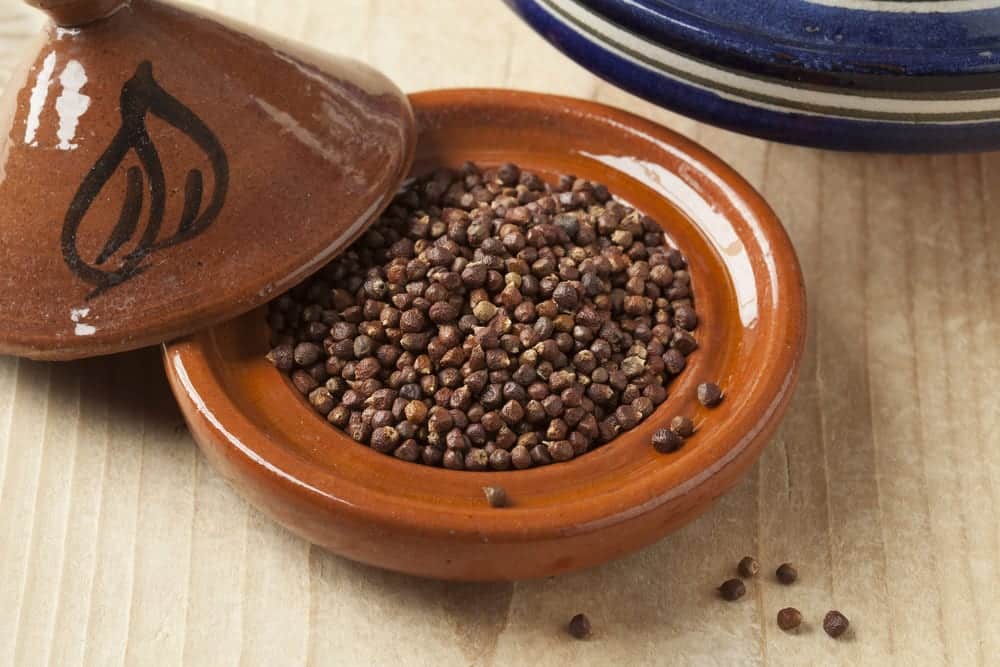 Paradieskörner - Pfeffersorten Miomente Entdeckermagazin