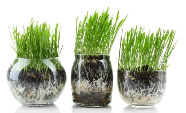 Blumentöpfe mit Drainage