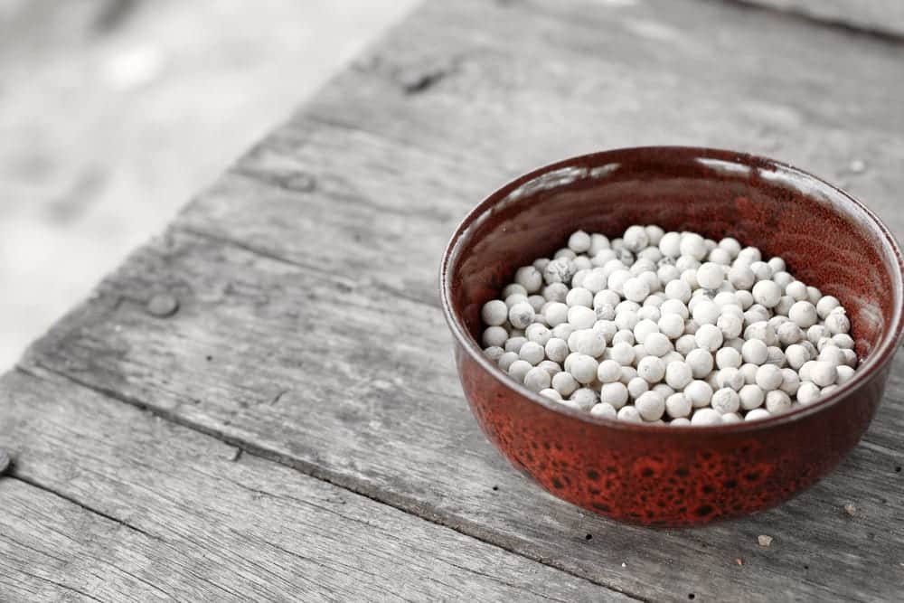 Weißer Pfeffer - Pfeffersorten Miomente Entdeckermagazin