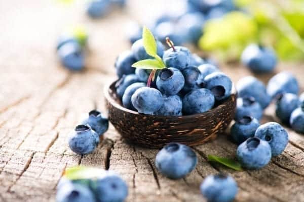Blaubeeren enthalten mehr Antioxidantien als Acai-Beeren