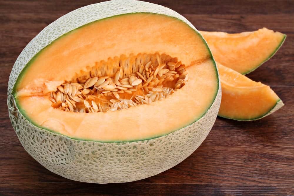 Cantaloup-Melone - Kleine Melonenkunde