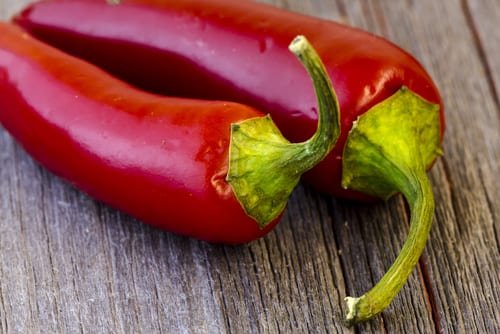 Rote, gereifte Jalapenos für Chipotle