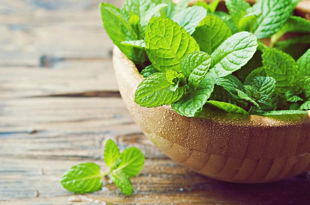 Rezept für Hugo mit Minze und Holunderblütensirup