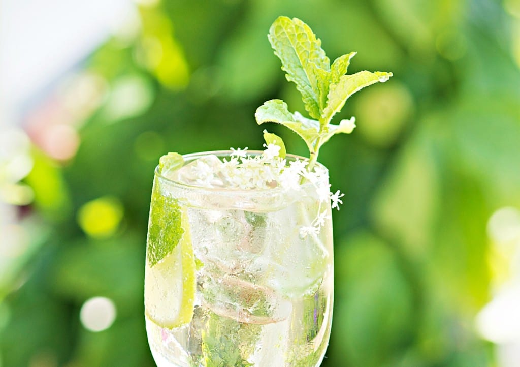 Rezept für Hugo mit Minze und Holunderblütensirup