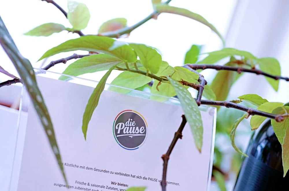 Kochkurse bei Sabine Dobesberger in "der Pause" in Wien – Miomente Entdeckermagazin