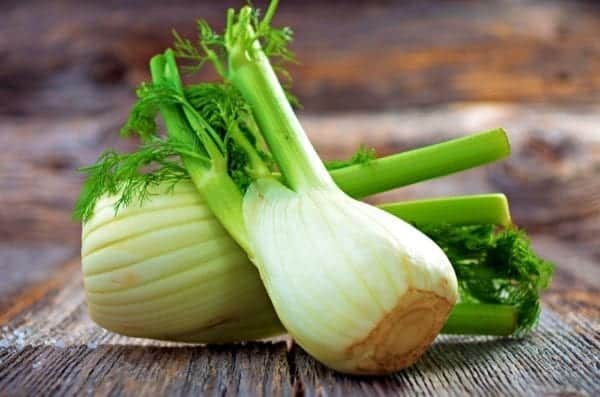 Kochkurse bei Sabine Dobesberger in "der Pause" in Wien – Miomente Entdeckermagazin