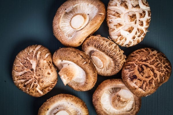 Shitake-Pilze schmecken stark umami