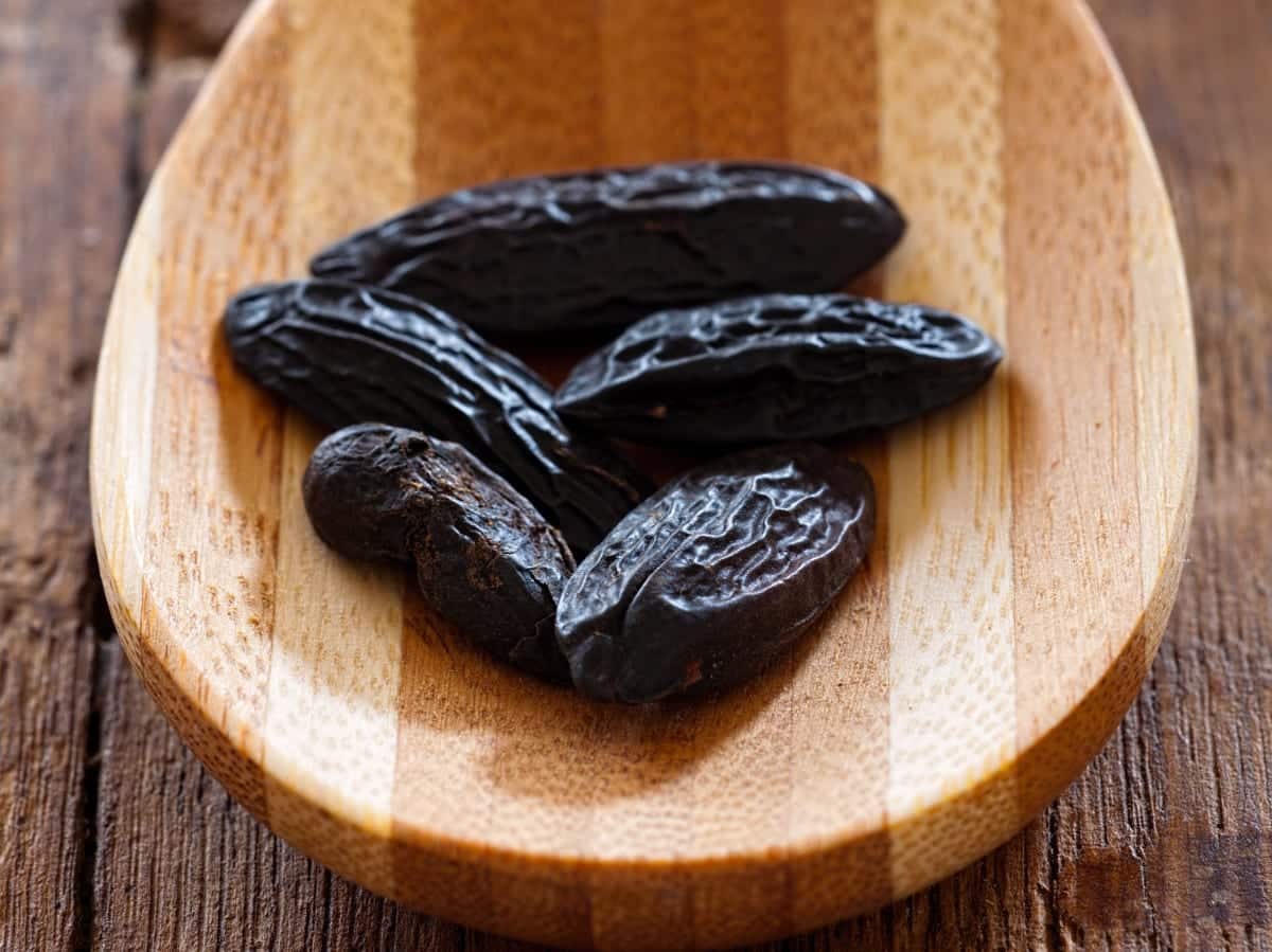 Foodtrend Tonkabohne - Gewürz der 1001 Aromen