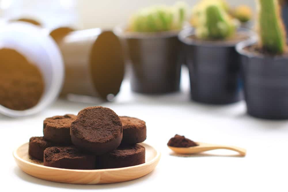 Kaffeesatz ist ein toller Blumendünger