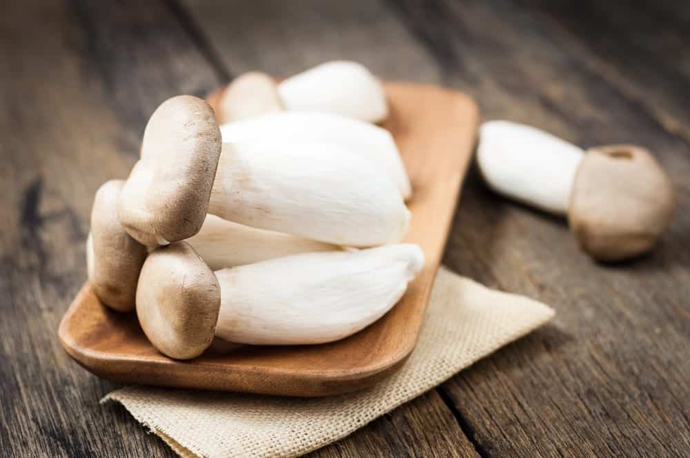 Der Kräuterseitling ist einer der aromatischsten Speisepilze