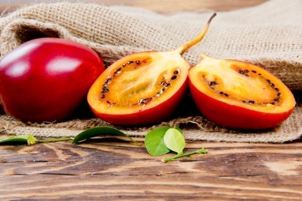 Baumtomate oder Tamarillo - Miomente Entdeckermagazin Quiz