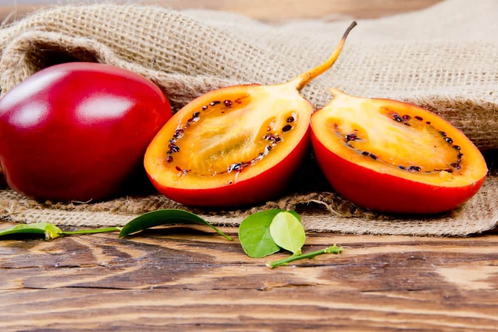 Baumtomate oder Tamarillo - Miomente Entdeckermagazin Quiz