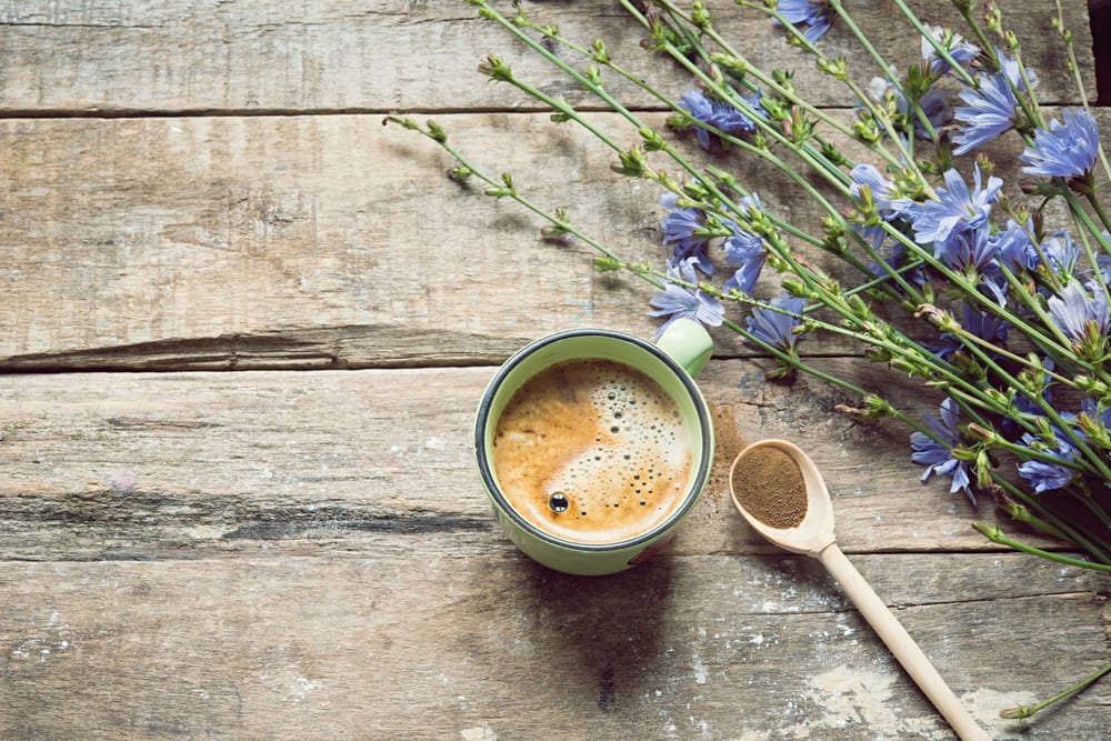 Für den Extrakick sorgt Chicoree-Pulver im Kaffee.