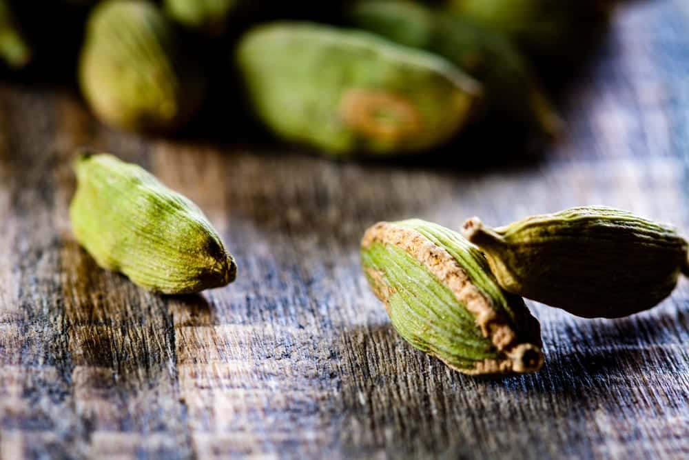 Kardamom-Kapseln - Miomente Entdeckermagazin