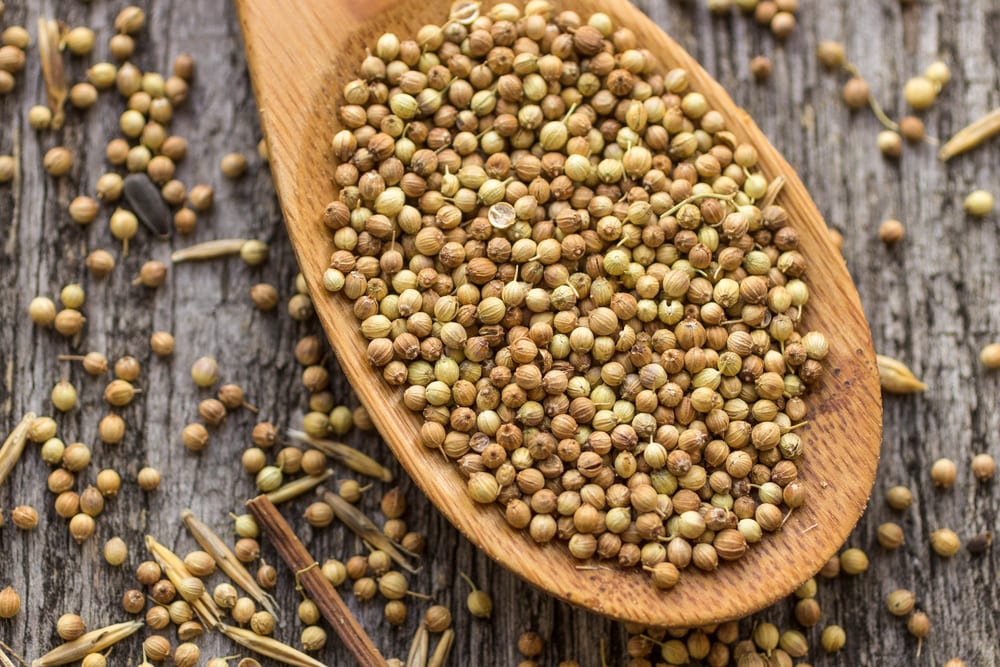 Weihnachtsquiz Gewürze Miomente Entdeckermagazin