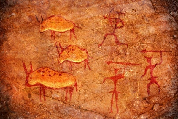 Paleo Entdeckermagazin Miomente