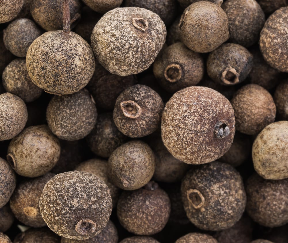 Weihnachtsgewürz Miomente Entdeckermagazin