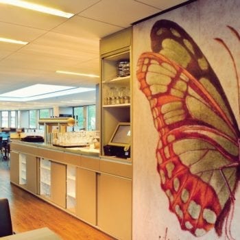 Kulinarische Schifffahrt in Frankfurt mit der Primus-Linie