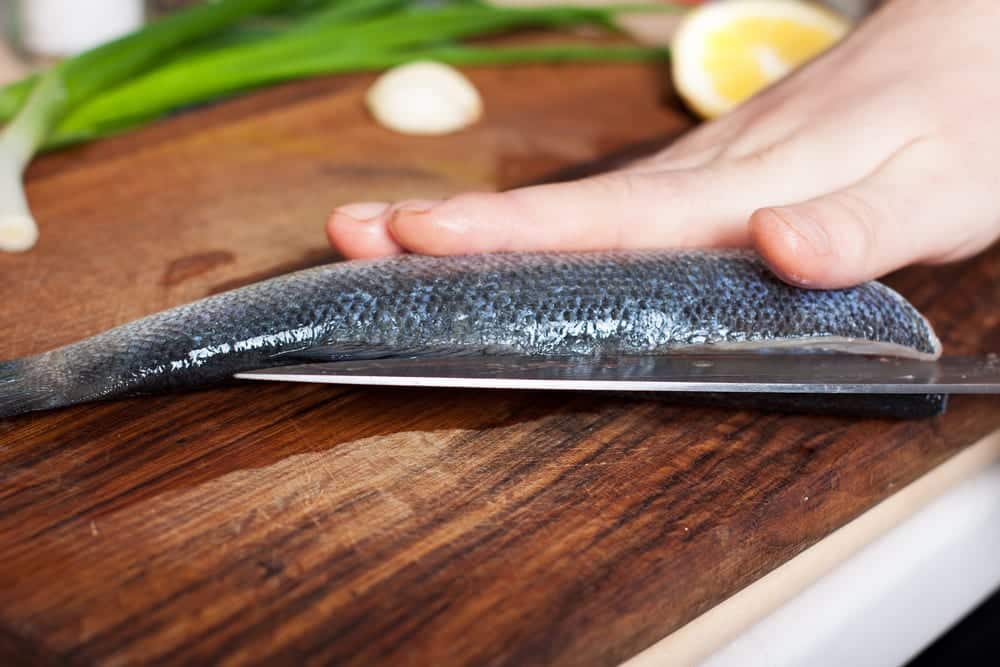 Der Drucktest: bei frischen Fisch wölbt sich die Druckstelle zurück