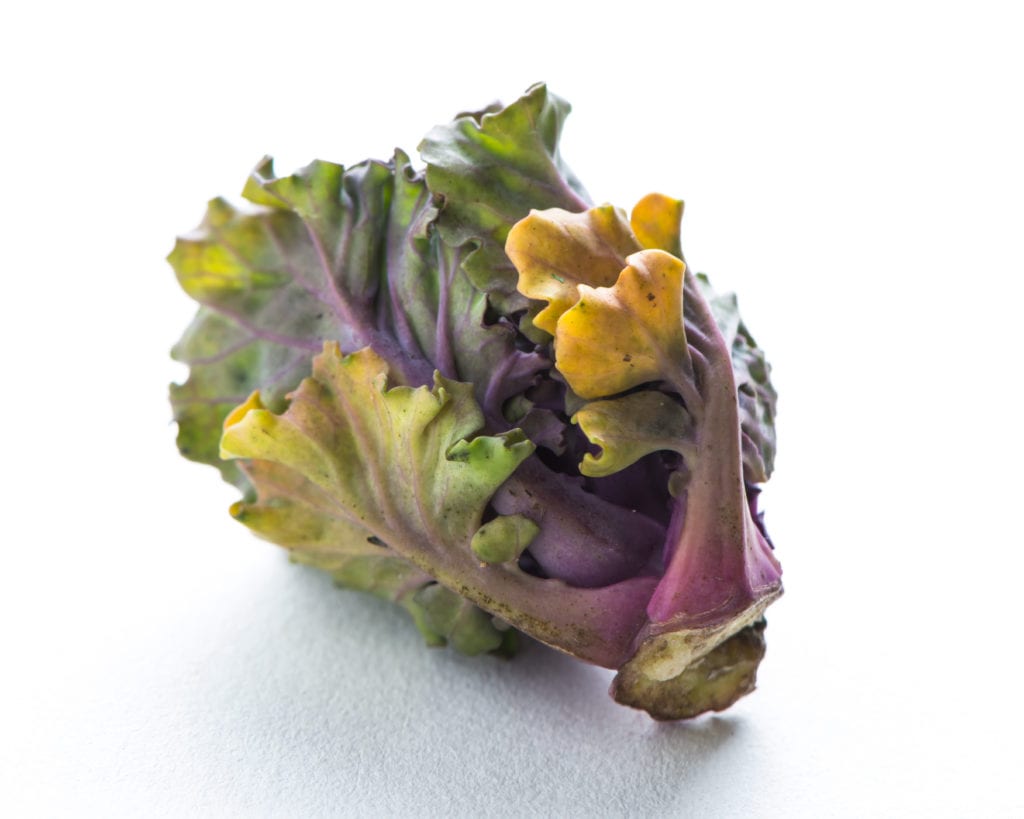 Flower Sprouts oder Kalettes schmecken angenehm nussig und sind in 4 Minuten gar
