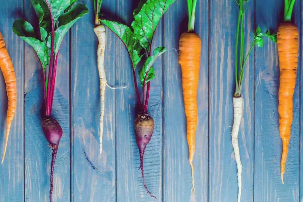 Vergessene Gemüsesorten: Teste dein Wissen bei unserem Quiz über vergessene Gemüsesorten