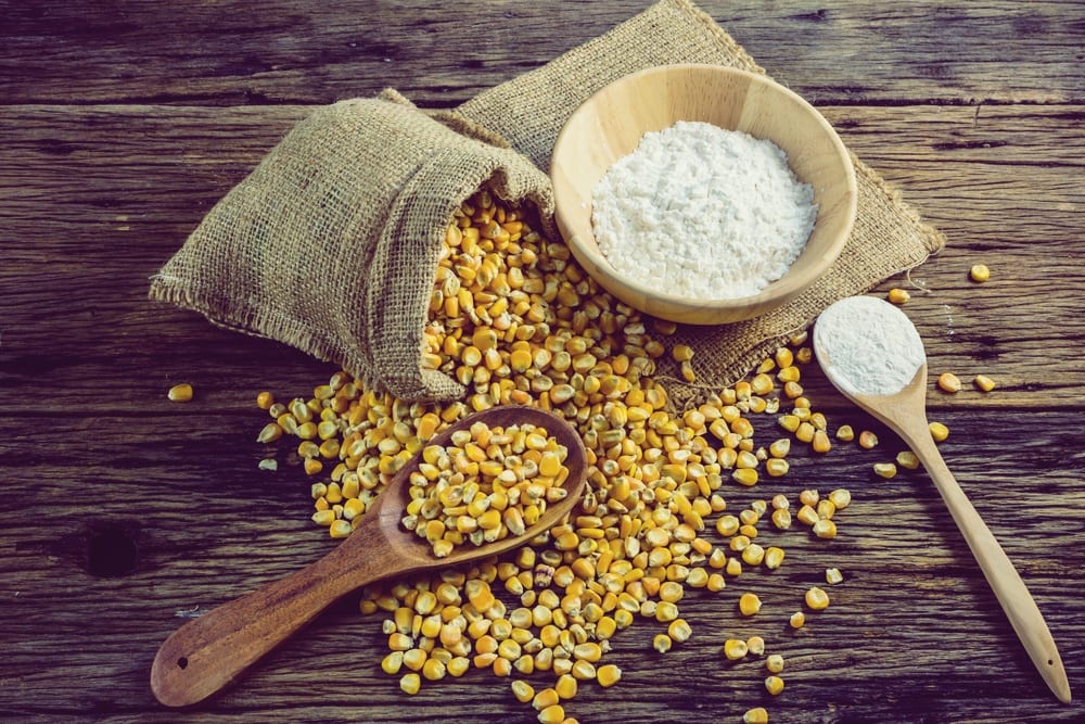 Mehlsorten - Maismehl- Entdeckermagazin - Miomente