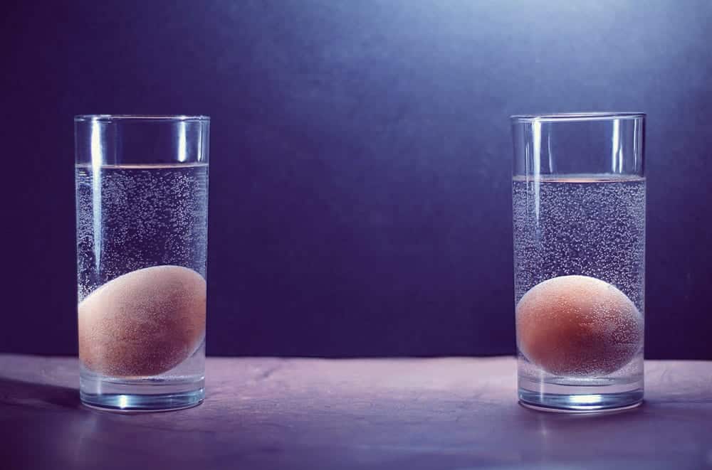 Ei-Special - Frischetest - Wasser - Entdeckermagazin - Miomente