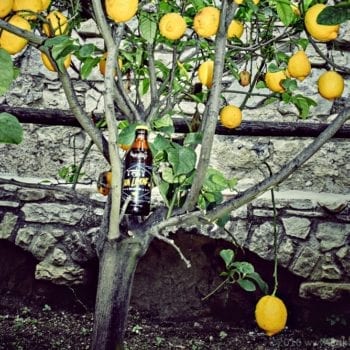 Munich Brew Mafia aus München - Bierexperten Dario Stieren und Niklas Zerhoch: Eigenprodukt Don Limone – Miomente Entdeckermagazin