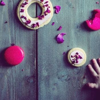 Kochbuch "Aromen Feuerwerk" von Katharina Küllmer - Gerichte mit Gewürzen, Kräutern und Früchten | Miomente Entdeckermagazin