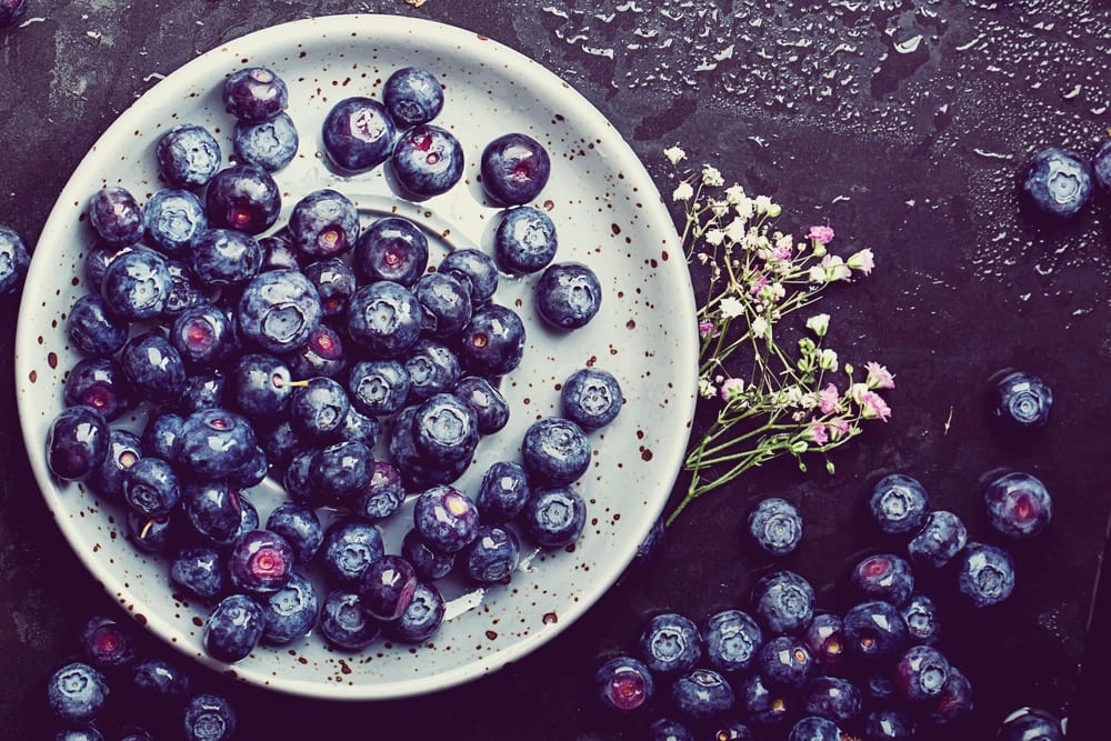 Sommerbeeren - Blaubeere - Entdeckermagazin - Miomente