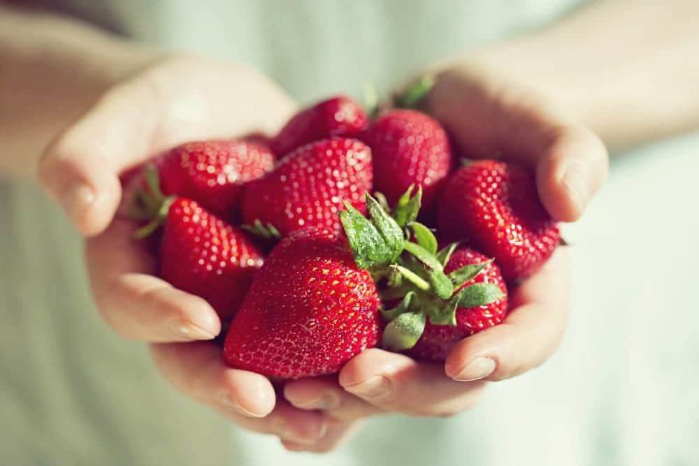 Sommerbeeren - Erdbeere ist keine Beere - Entdeckermagazin - Miomente