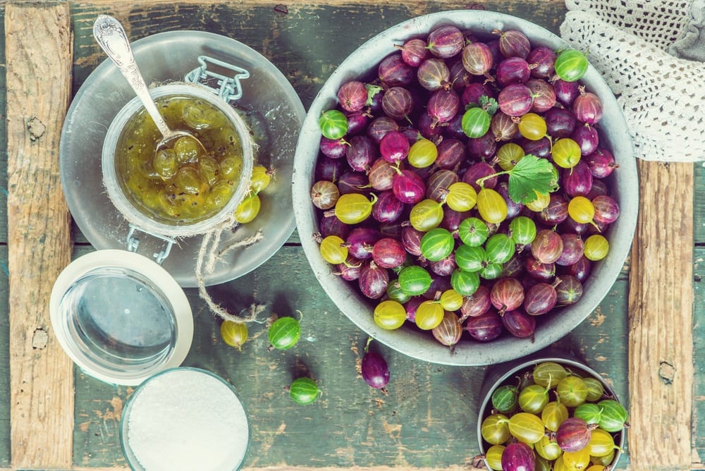 Sommerbeeren - bunte Stachelbeeren - Entdeckermagazin - Miomente