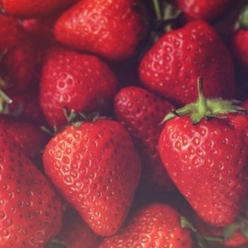 Rezept für Mini-Obst-Törtchen - Heidelbeeren | Miomente Entdeckermagazin