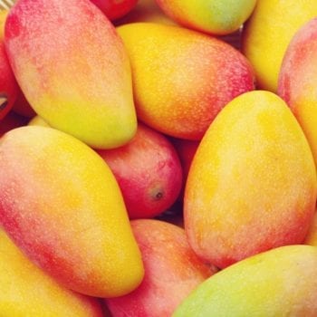 Rezept für Mini-Obst-Törtchen - Mango | Miomente Entdeckermagazin