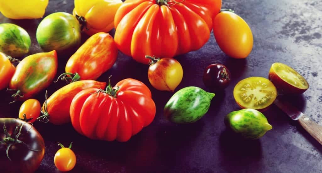 Tomatensorten - Entdeckermagazin - Miomente