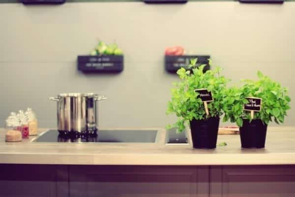 Vietnamesischer Kochkurs bei Ahn Dang in der Kochschule Cay Cay in Hamburg - Miomente Entdeckermagazin