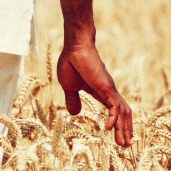 Kochbuch "Voodo Food" von Dodo Liade - Magie der afrikanischen Küche | Miomente Entdeckermagazin