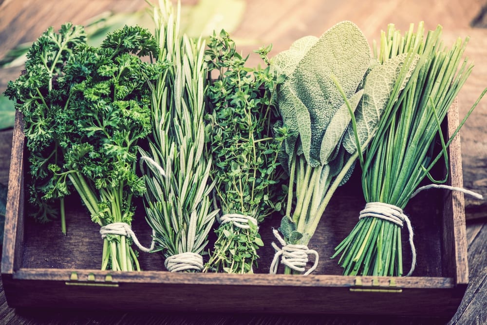 Johann Lafer im Interview mit Miomente 9 - Entdeckermagazin - Miomente