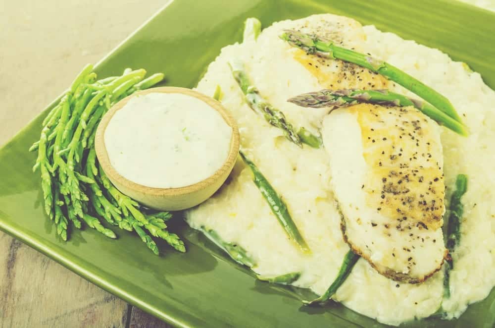 Queller mit Lachs und Kartoffelpüree - Entdeckermagazin - Miomente