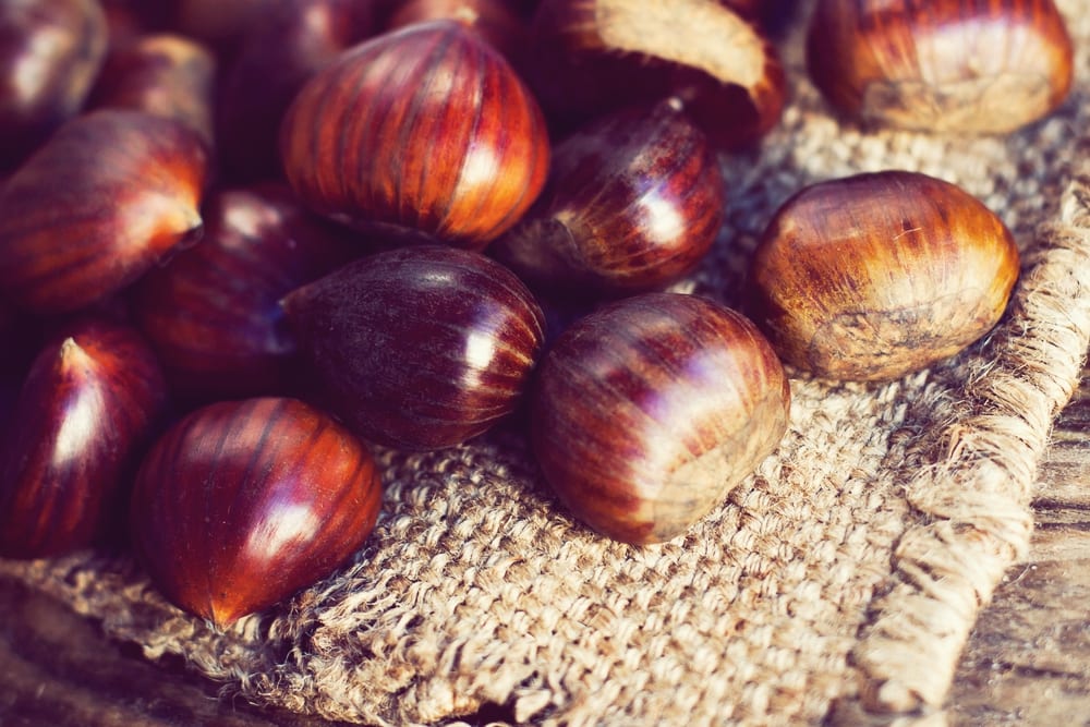 Rezept für ein saftiges rosa Steak mit Maronenpüree und frischen Preiselbeeren im Miomente Entdeckermagazin